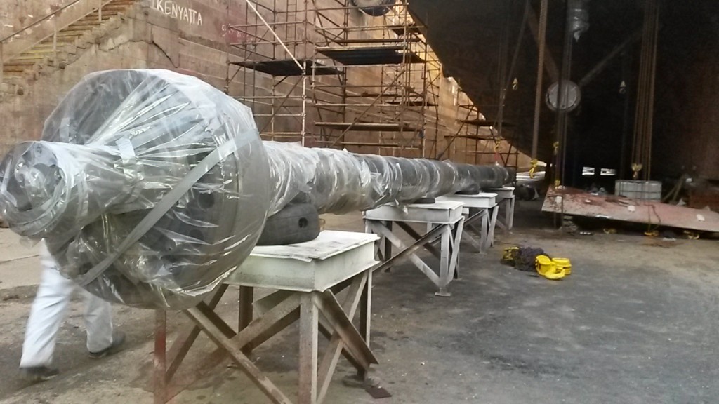 The propeller shaft